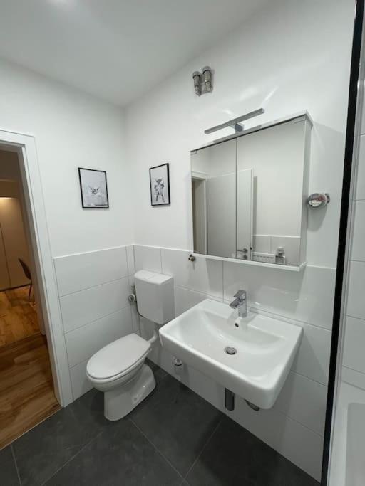 Ferienwohnung Penthouse, Offenburg,Europapark Exterior foto